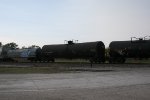 CTCX 715283